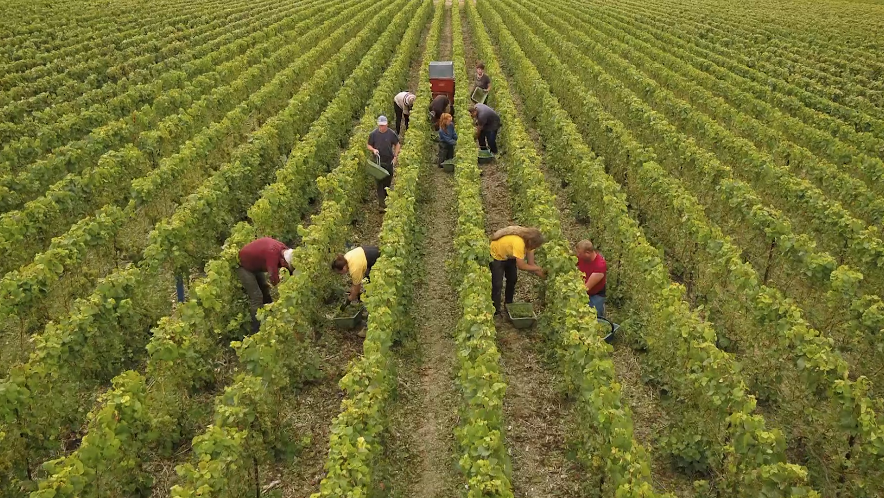 Inu Média réalise une landing page pour publier les offres d'emploi au sein de la Coopérative Vinicole de la Vallée de la Marne