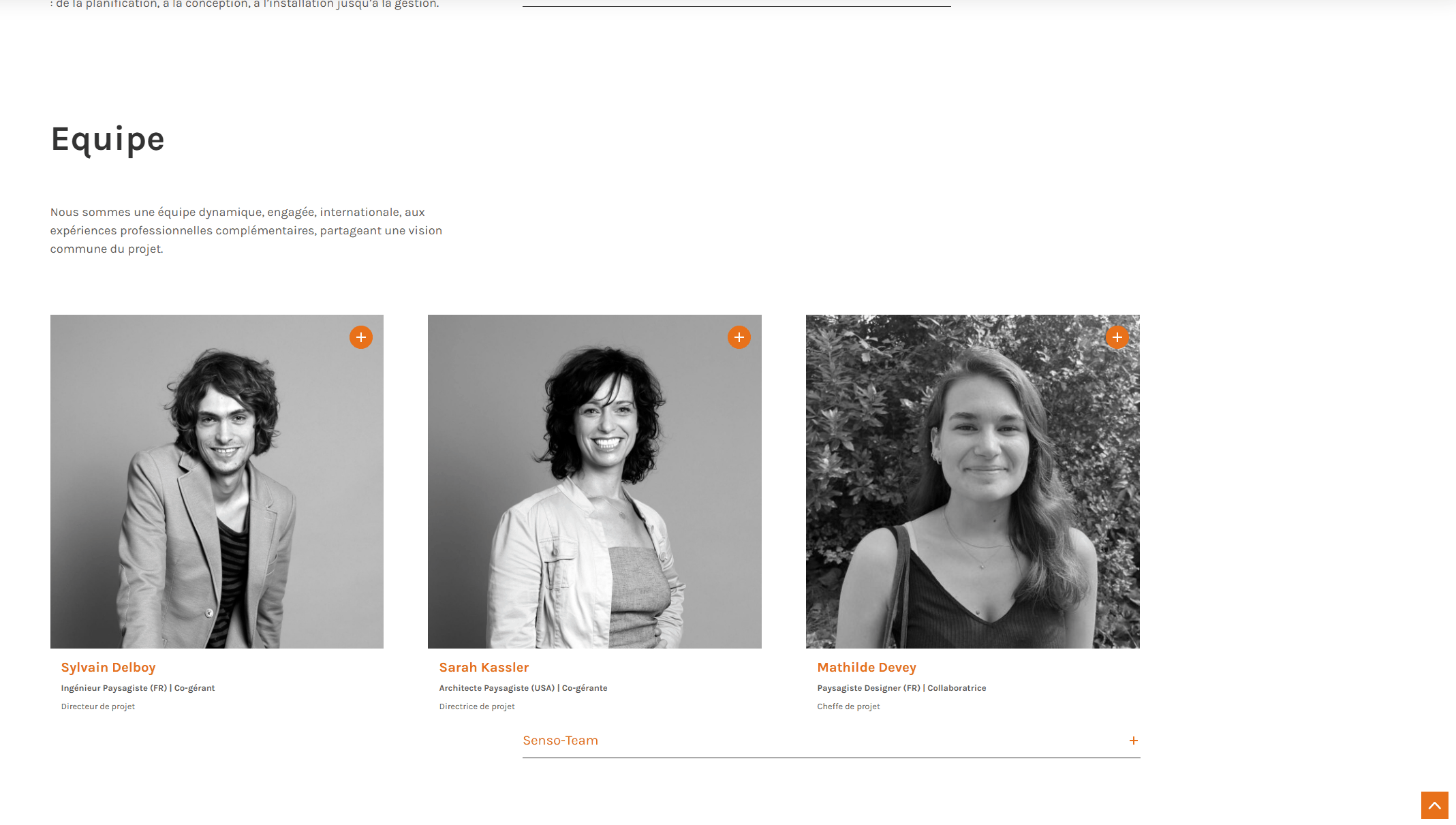 Section équipe du site Sensomoto avec cards de présentation et accordéon Senso-Team